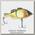 Воблер Jackall Baby giron noike gold bela