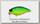 Воблер Jackall Cherry one footer 46 7,2гр 0,3м MT