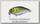 Воблер Jackall Cherry one footer 46 7,2гр pearl ayu