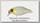 Воблер Jackall Chubby 38 bone