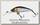 Воблер Jackall Chubby minnow 35 2,3гр h silver & black