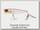 Воблер Jackall Chubby popper 42 sight candy