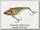 Воблер Jackall Chubby vibrationl tiger pike