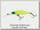 Воблер Jackall Diving chubby minnow SP matt chartreuse