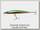 Воблер Jackall Flat fly 50S 2,5гр hl champagne