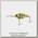 Воблер Jackall Gillcra 60 chartreuse back bluegill