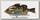 Воблер Jackall Giron 9,3см 22,5гр rt black gill