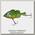 Воблер Jackall Giron 9,3см 22,5гр rt blue gill SIN