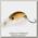 Воблер jackall Mitts F cafe au lait