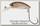 Воблер Jackall Mitts S brapin