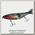 Воблер Jackall One-eighty jr piraniha