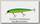 Воблер Jackall Smash minnow 110SP matt tiger