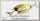 Воблер Jackall Soul Shad 45 SP chart back glitter