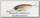 Воблер Jackall Soul Shad 45 SP natural shad