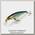 Воблер Jackall Squad Minnow 95 hl bronze blue pike