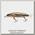 Воблер Jackall Tiny Magallon MR rt ugui