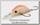 Воблер Lucky Craft Air blow F 5539 oregold clear 662