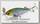 Воблер Lucky Craft B-Straight 65 S 0739 MS japan shad