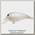 Воблер Lucky Craft Bevy crank 45 SR 285 NC shell white