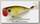 Воблер Lucky Craft Bevy popper 0004 347 ayu