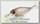 Воблер Lucky Craft Bevy shad MK II 50 SP 257 aurora pro blue