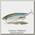 Воблер Lucky Craft Blade cross bait 90 254 MS MJ herring