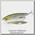 Воблер Lucky Craft Blade cross bait 90 284 misty shad