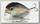 Воблер Lucky Craft Clutch MR 270 MS american shad