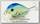 Воблер Lucky Craft Clutch SR 0199 198 blue back chart