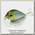 Воблер Lucky Craft Clutch SR 0739 033 MS japan shad