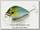 Воблер Lucky Craft Clutch SR 192 MS Japan shad 033