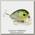 Воблер Lucky Craft Clutch SSR 0002 OIKAWA 907