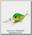 Воблер Lucky Craft Clutch XD 111 peacock