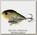 Воблер Lucky Craft Fat smasher 60 183 pearl threadfin shad