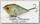 Воблер Lucky Craft Fat smasher 75 238 ghost minnow