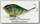 Воблер Lucky Craft Fat smasher 75 240 sun fish