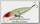 Воблер Lucky Craft Flash minnow 95 MR 251 nishiki