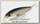 Воблер Lucky Craft Flash minnow TR 65SP 270 MS american shad