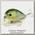 Воблер Lucky Craft G-splash 65 158 gold rush F