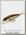 Воблер Lucky Craft Live flash minnow 120MR 809 brownie