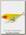 Воблер Lucky Craft Live sammy 120 220 impact yellow