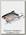 Воблер Lucky Craft LV 100 270 american shad