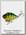Воблер Lucky Craft LVR Mini S 280 aurora green perch
