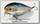 Воблер Lucky Craft Moonsault CB01 270 MS american shad