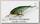 Воблер Lucky Craft Pointer 48 DD 246 ghost sun fish