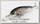 Воблер Lucky Craft Pointer 48 DD 809 brownie