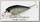 Воблер Lucky Craft Pointer 48 SP 5185 bait moss back