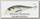 Воблер Lucky Craft Pointer 65 183 Pearl threadfin shad