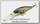 Воблер Lucky Craft Pointer 65 371 Bone pro-blue