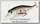 Воблер Lucky Craft Pointer 65 DD bloody or tennessee shad